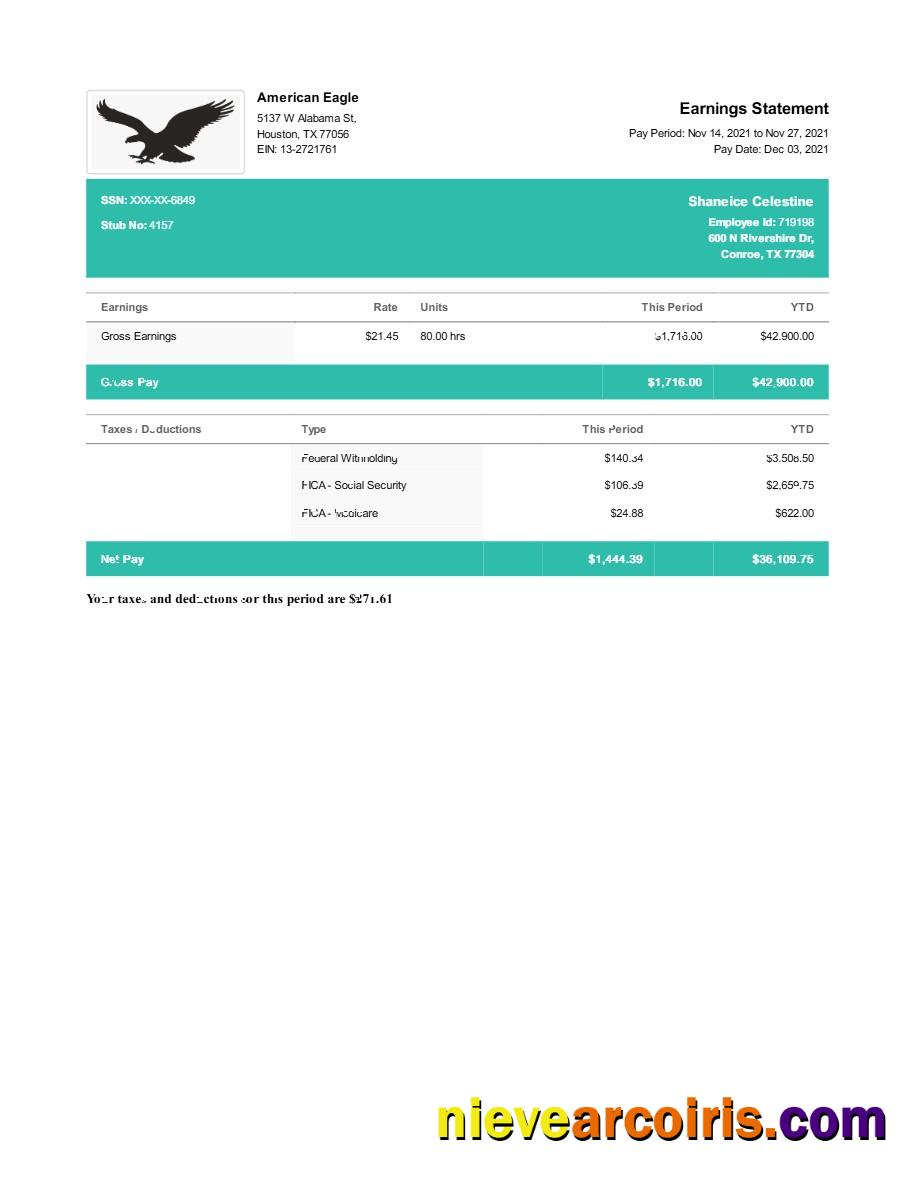 American Eagle earnings statement